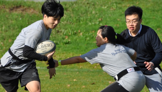 Auckland Rugby 